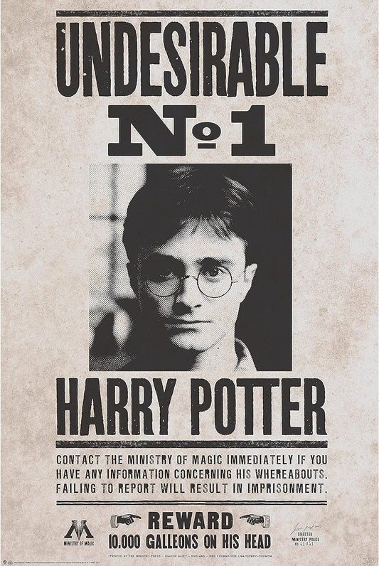 HARRY POTTER - Indesirable No1 Maxi Poster 61x91.5cm