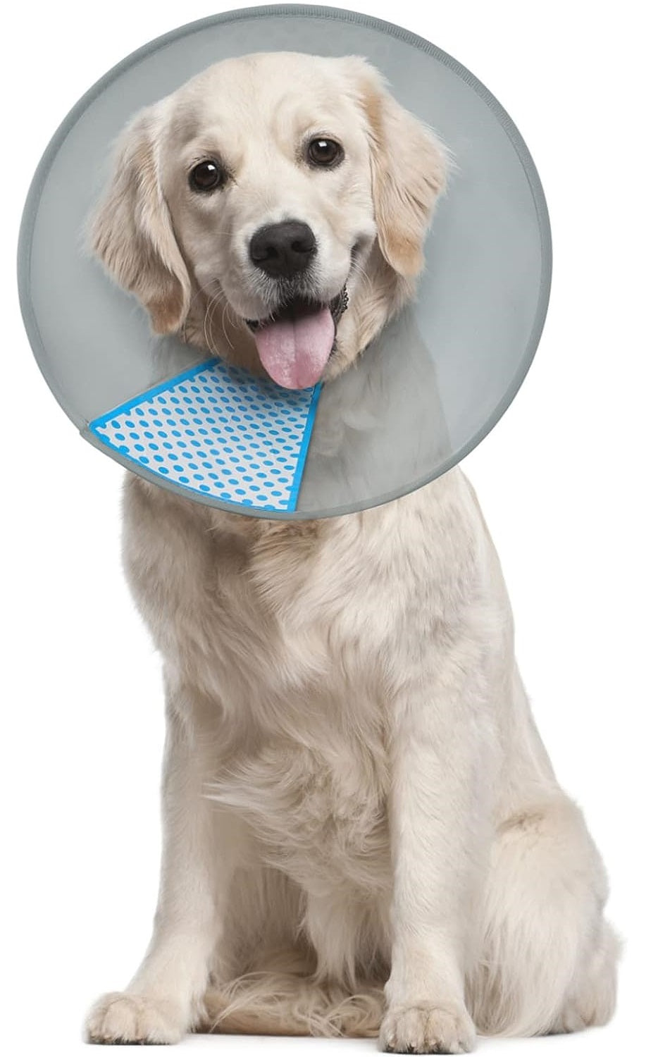 Supet Large Dog Cone Adjustable Pet Recovery Collar Grey 30cm - 34cm Neck