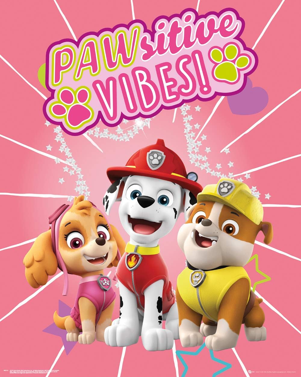 Paw Patrol Pawsitive Vibes Mini Poster 50x40cm