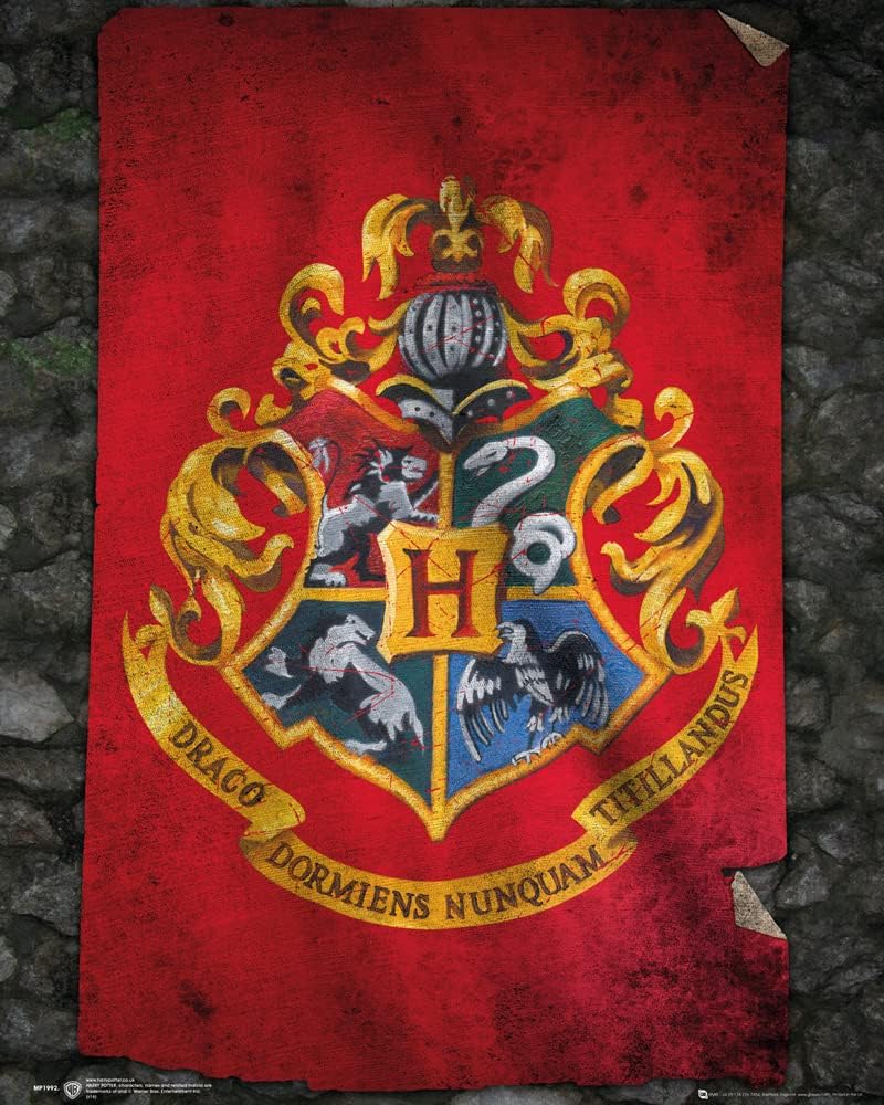 Harry Potter Hogwarts Flag Mini Poster 50x40cm