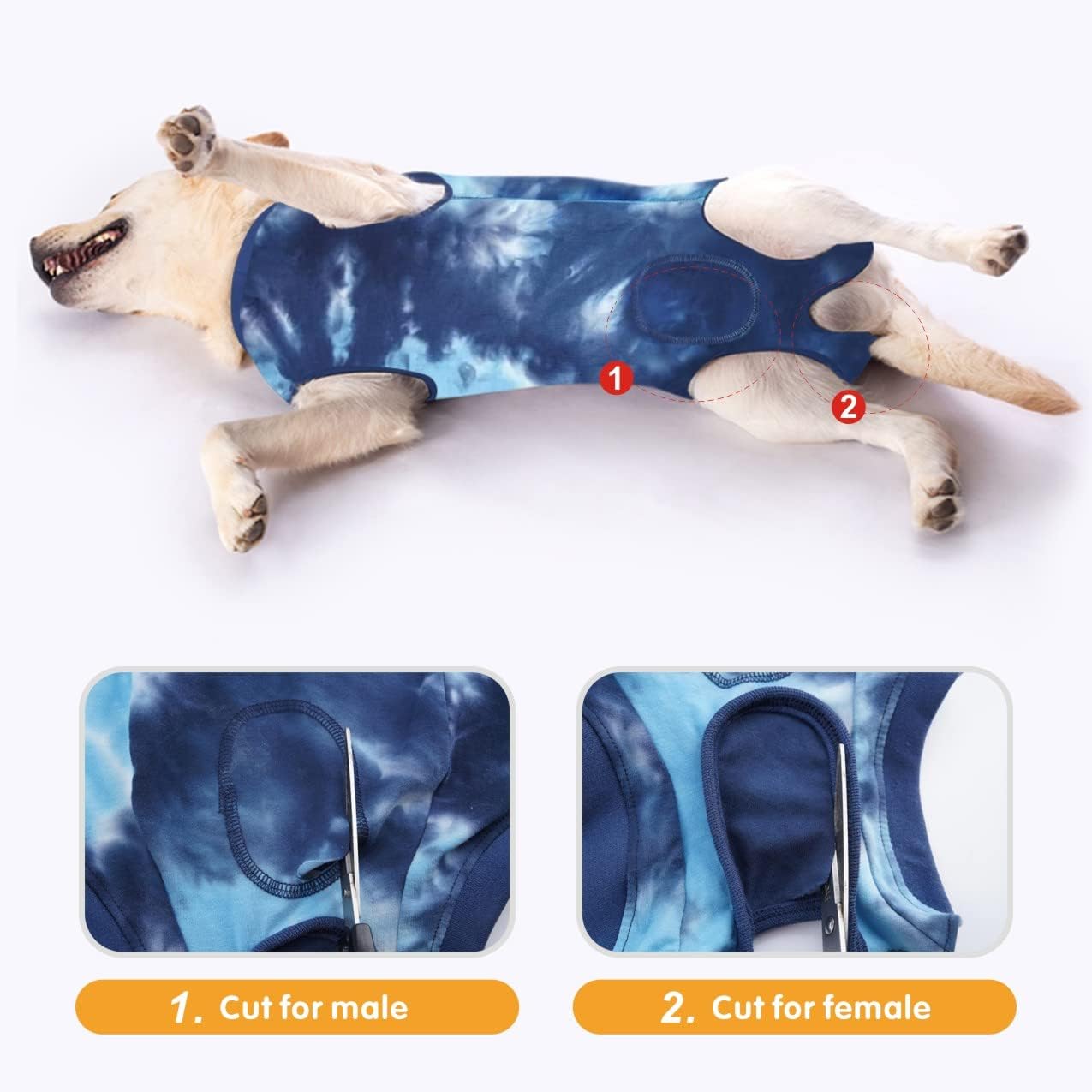 Dog Surgery Recovery Suit - Blue