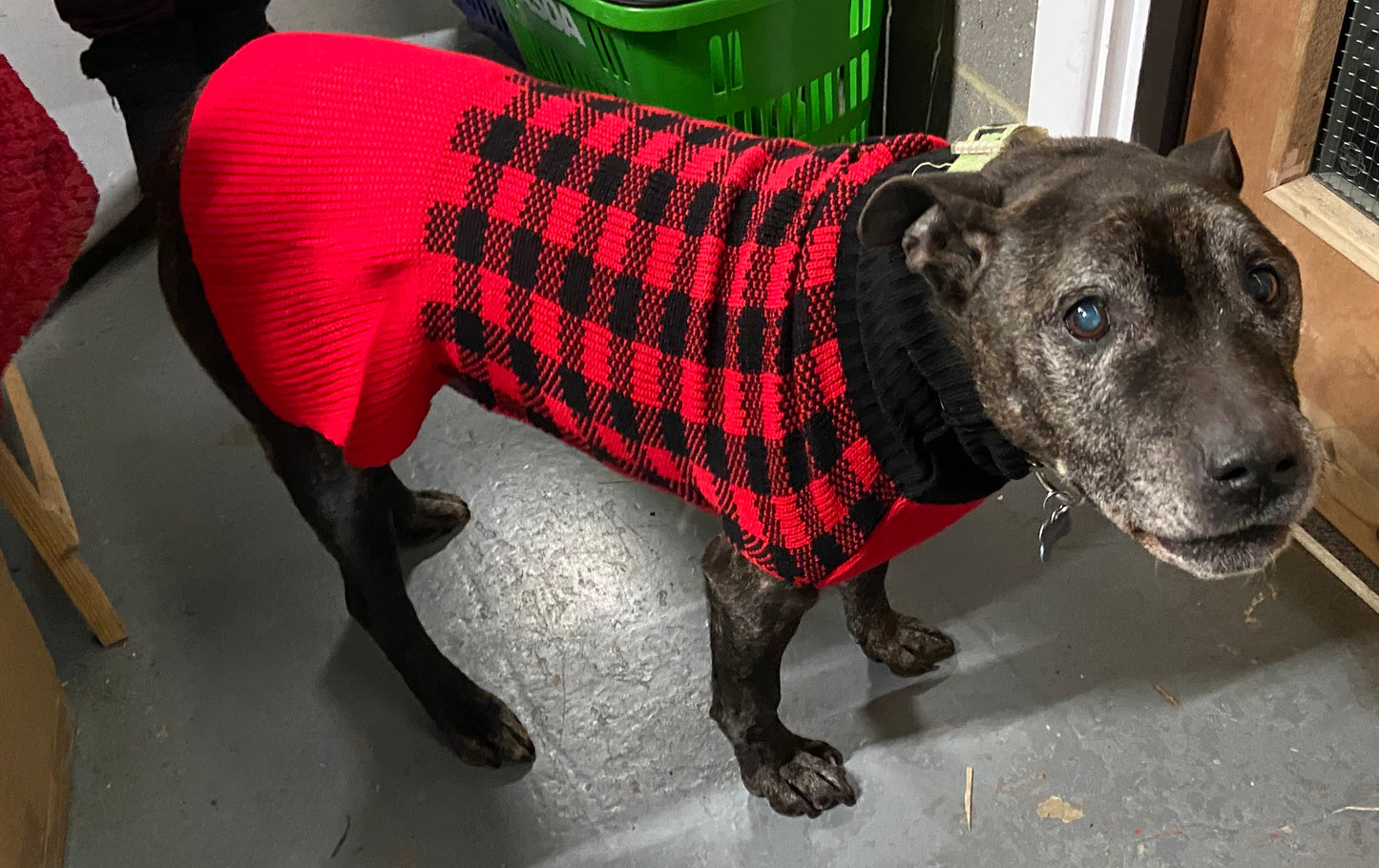 Size L 50-55cm Red/Black Dog Jumper